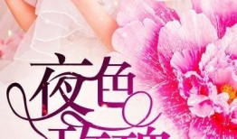 娱乐大爆料玫瑰小说,玫瑰小说背后的秘密与激情