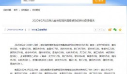 最新爆料黄冈疫情,揭秘病毒传播链与防控措施强化