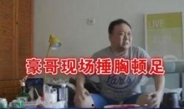 劲哥爆料豪哥视频播放,豪哥视频播放背后的惊人真相