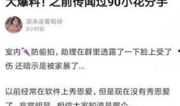 爆料小花分手视频,视频揭露分手内幕