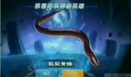 在线观看黄鳝视频