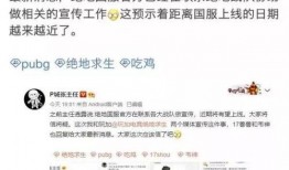 职业选手爆料国服视频,国服高玩操作背后的秘密与技巧