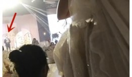 嘴哥爆料结婚视频大全,甜蜜瞬间尽收眼底