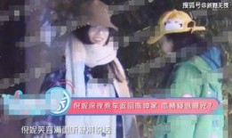 恋爱兄妹外网爆料视频,外网爆料视频背后的真实故事