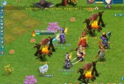 全明星派对爆料视频在哪看,独家观看指南