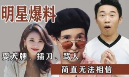 娱乐圈中人被爆料的事情,揭秘明星背后的秘密与争议