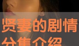 贤妻在线观看,揭秘现代婚姻的甜蜜与挑战