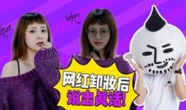 揭秘网红爆料视频大全,视频大全背后的真相与内幕