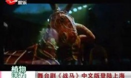 优酷战马在线观看免费,驾驭激情，共赴速度与激情之旅