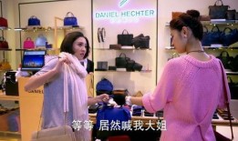 包小姐的包在线观看,揭秘时尚界的神秘魅力