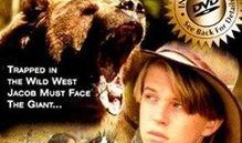 熊电影在线观看