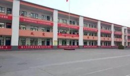 红河某中学爆料视频最新,揭秘校园内幕