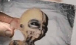 外国爆料外星人视频下载,外国爆料视频下载背后的神秘真相