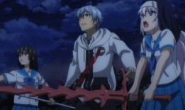 噬血狂袭动漫在线观看,热血校园的吸血鬼传奇