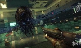 掠食猛兽爆料视频大全集,揭秘大自然生死较量全纪录