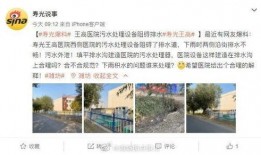 寿光最新爆料消息视频,视频揭秘惊人真相！