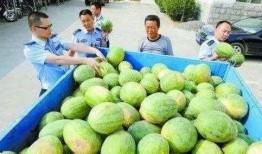 武都网红吃瓜群微信号是什么,武都网红吃瓜群微信号背后的神秘世界