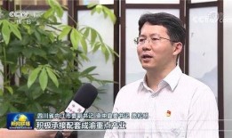 中央新闻爆料资中,真相与影响深度剖析