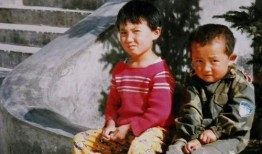 爆料挨打视频大全集免费观看,揭秘网络暴力真相