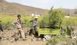 黑松镇在线观看,在线揭秘神秘古镇的传奇故事