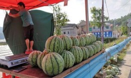 微山吃瓜网红事件,揭秘网络舆论的风暴与反思