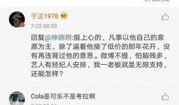 娱乐圈吃瓜文档,幕后真相与明星隐私曝光