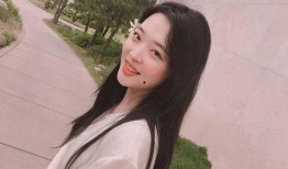 雪莉韩国爆料视频大全,揭秘娱乐圈不为人知的真相