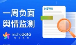 网友爆料气泡视频大全,气泡视频大全，揭秘网络新潮流