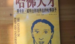 牛蛙店老板爆料视频大全,揭秘视频大全背后的惊人真相