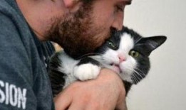 吃瓜娱乐的喵哥是谁啊视频,吃瓜娱乐界的神秘喵哥是谁？