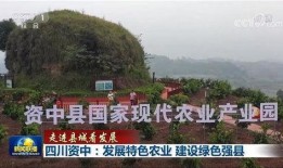 中央新闻爆料资中,真相与影响深度剖析