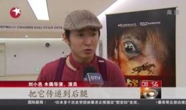 优酷战马在线观看免费,驾驭激情，共赴速度与激情之旅