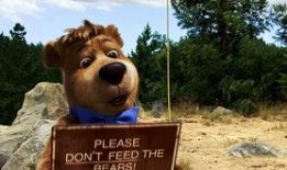 熊电影在线观看