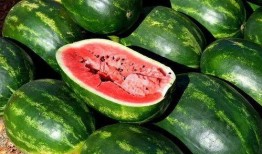 网爆网红吃瓜图片大全,盘点那些爆笑的瓜界风云