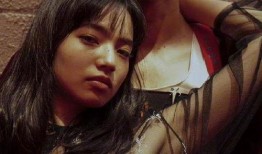 日娱爆料菅田将晖视频,日娱明星隐私边界再引热议