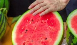 网红大学请暑期吃瓜,一场别开生面的“吃瓜”狂欢