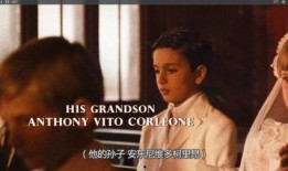 教父2完整版在线观看,权力传承与家族荣耀的永恒传奇