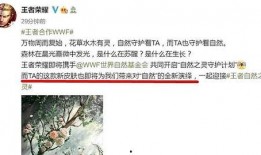 李华传说皮肤爆料视频,揭秘爆料视频中的神秘元素