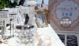 故城婚礼爆料视频播放,浪漫瞬间与温馨时刻