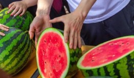 网红大学请暑期吃瓜,一场别开生面的“吃瓜”狂欢