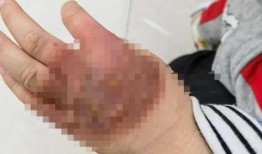 猪先生被爆料家暴视频,家庭暴力事件引发社会关注