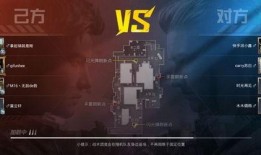 和平精英爆料最真实的视频,真实游戏视频曝光，精彩瞬间不容错过