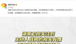 吃瓜娱乐排行榜最新,盘点近期热门事件，揭秘明星幕后故事