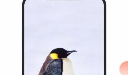 广州探店爆料视频大全下载,热门美食地盘点与推荐