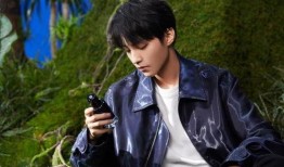 王俊凯娱乐记者爆料,揭秘明星背后的故事