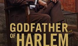 教父2完整版在线观看,权力传承与家族荣耀的永恒传奇