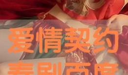 契约 在线观看,在线观看，揭秘神秘契约背后的惊心动魄故事