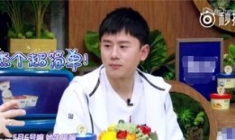 何炅谢娜圈内爆料,娱乐圈背后的真实故事