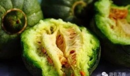 微山吃瓜网红事件,揭秘网络舆论的风暴与反思