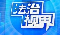 社会与法频道在线观看,实时关注法律动态，共筑法治社会